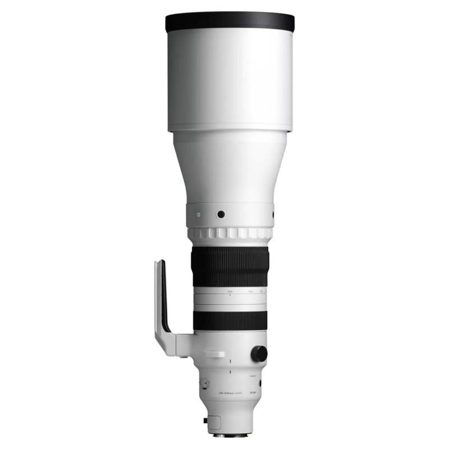 Sigma DG 300-600/4,0 OS Sport L-Mount