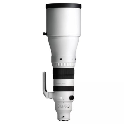 Sigma DG 300-600/4,0 OS Sport L-Mount